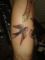 /album/fotogaleria-tatoo/a20150213-152510-jpg/